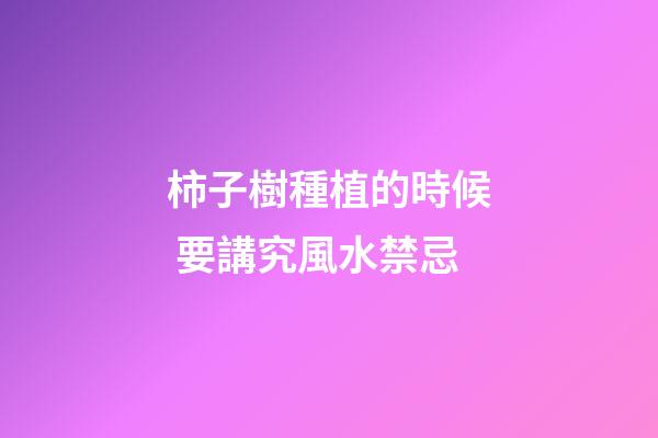 柿子樹種植的時候 要講究風水禁忌